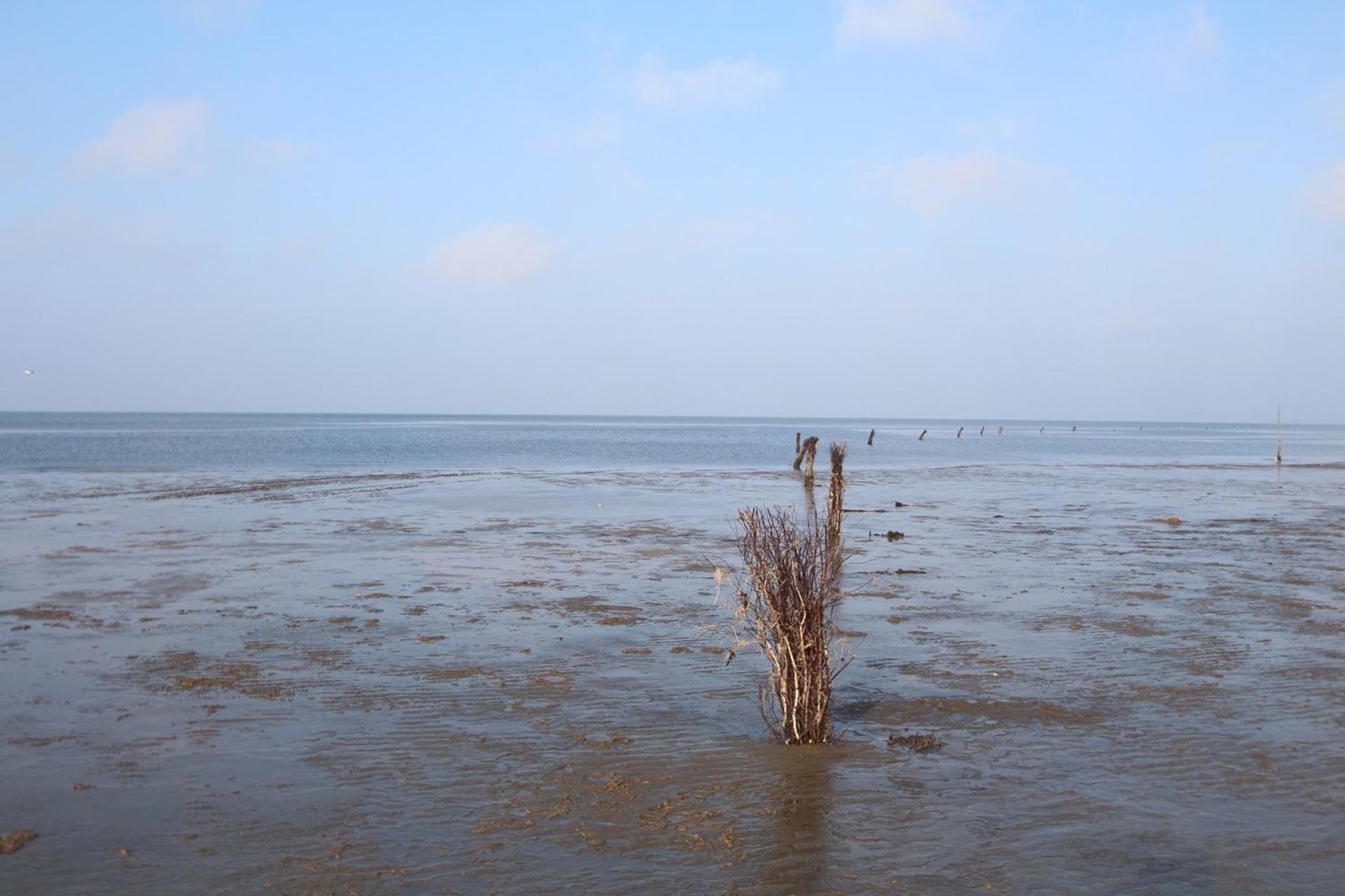 Quartier Hohe Geest 18 - Strandzeit - A69837 * Cuxhaven